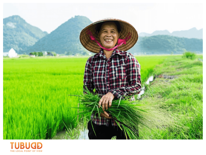 How Vietnamese Characteristics Shape Everyday Life
