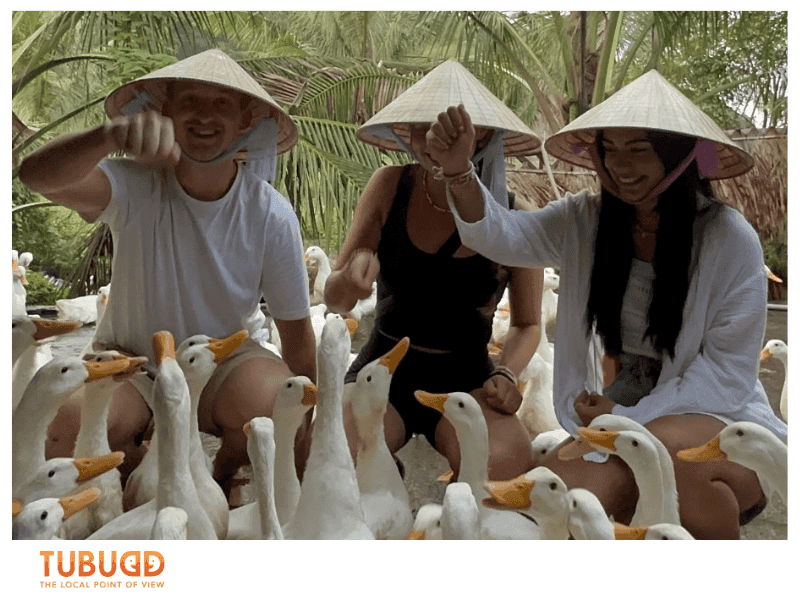 What Is Vietnamese Duck Farming
