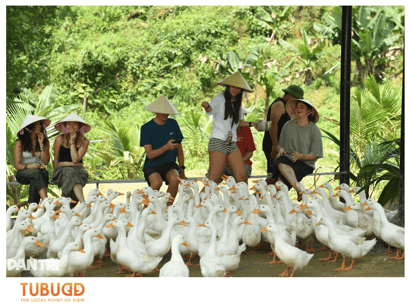 What Is a Vietnamese Duck Tour