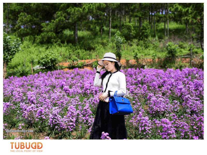 Explore Nature and Waterfalls at a Relaxed Pace