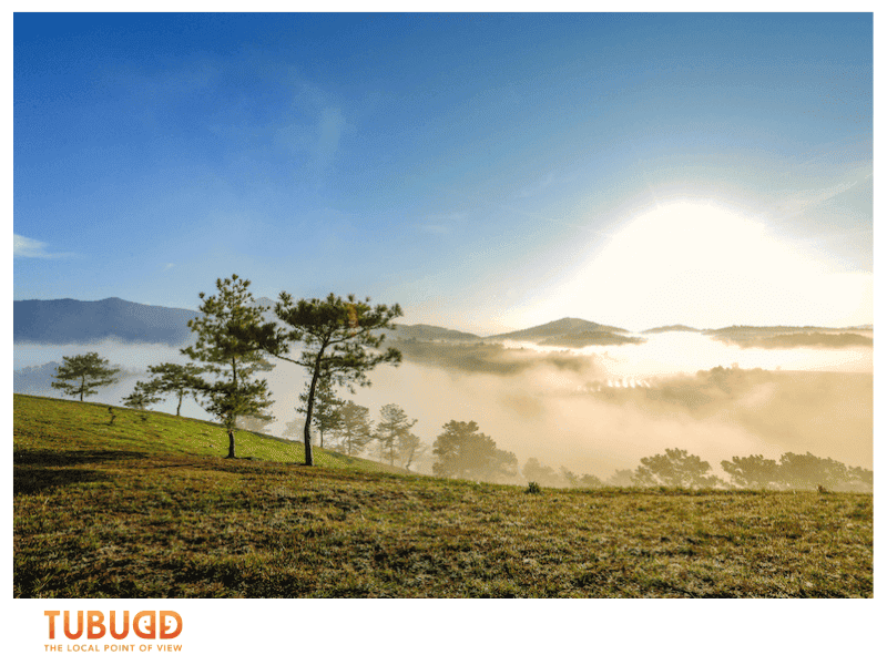 Discover Local Culture and Seasonal Experiences