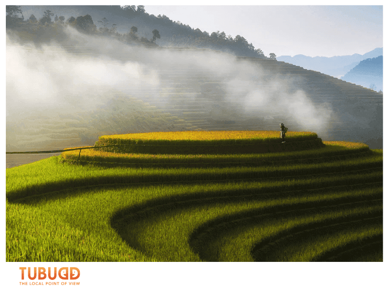 Spring (February – April): Misty Skies and Gentle Beginnings