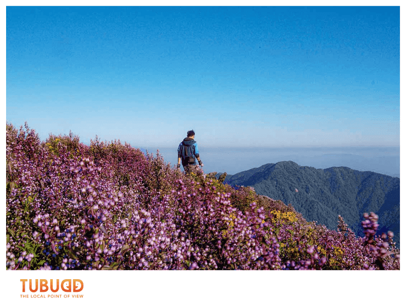 Winter (December – January): Crisp Air and Quiet Charm