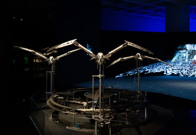 香港藝術館展覽《感知之維——萬物與自我的多重探索》,呈現跨越人文、自然、藝術、科技之對話