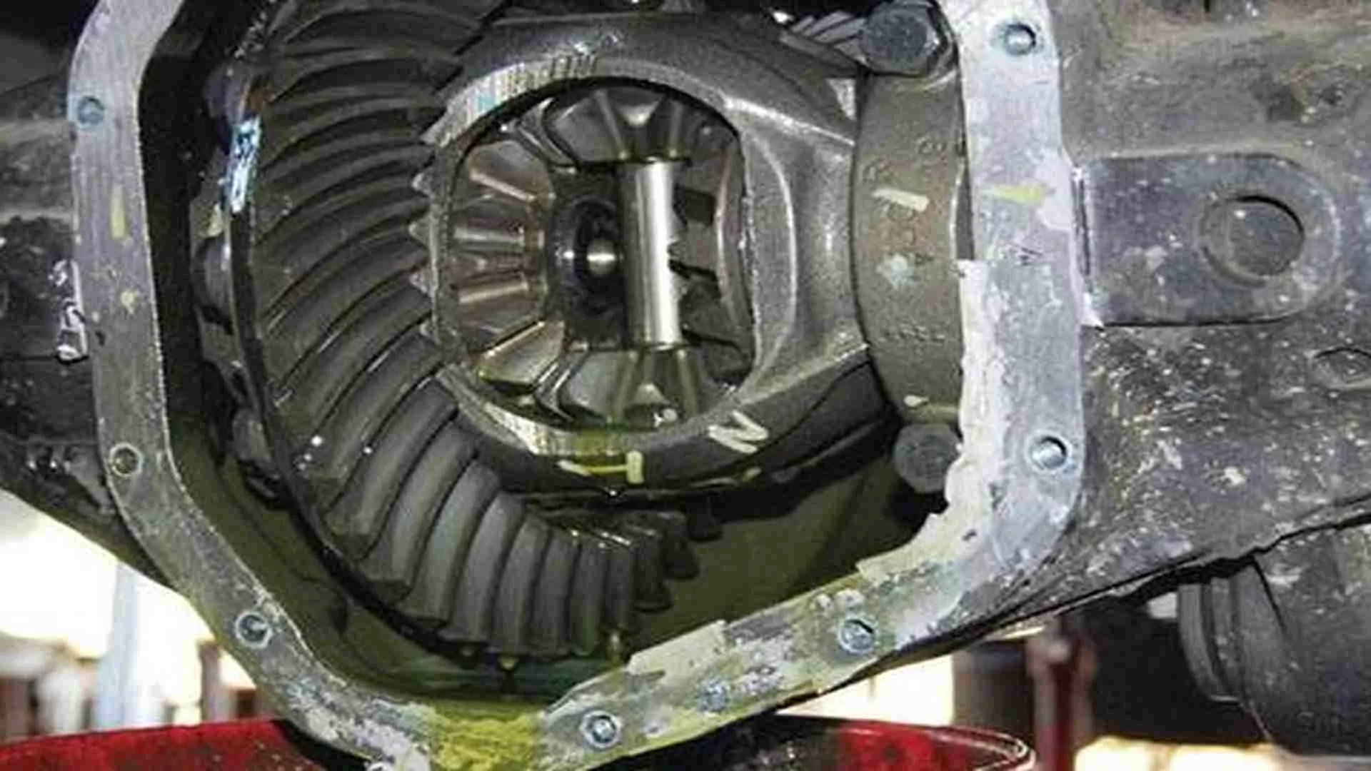 fungsi oli gardan mobil