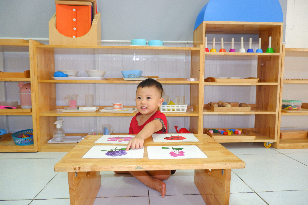 Mầm non Úc Châu - Hiệp Thành, Quận 12