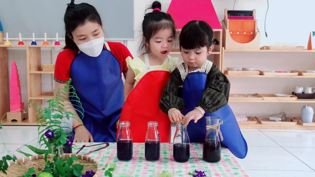 Mầm non Úc Châu - Hiệp Thành, Quận 12