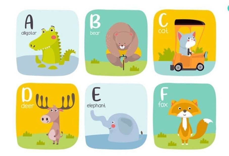 flashcard-hoc-tieng-anh-3