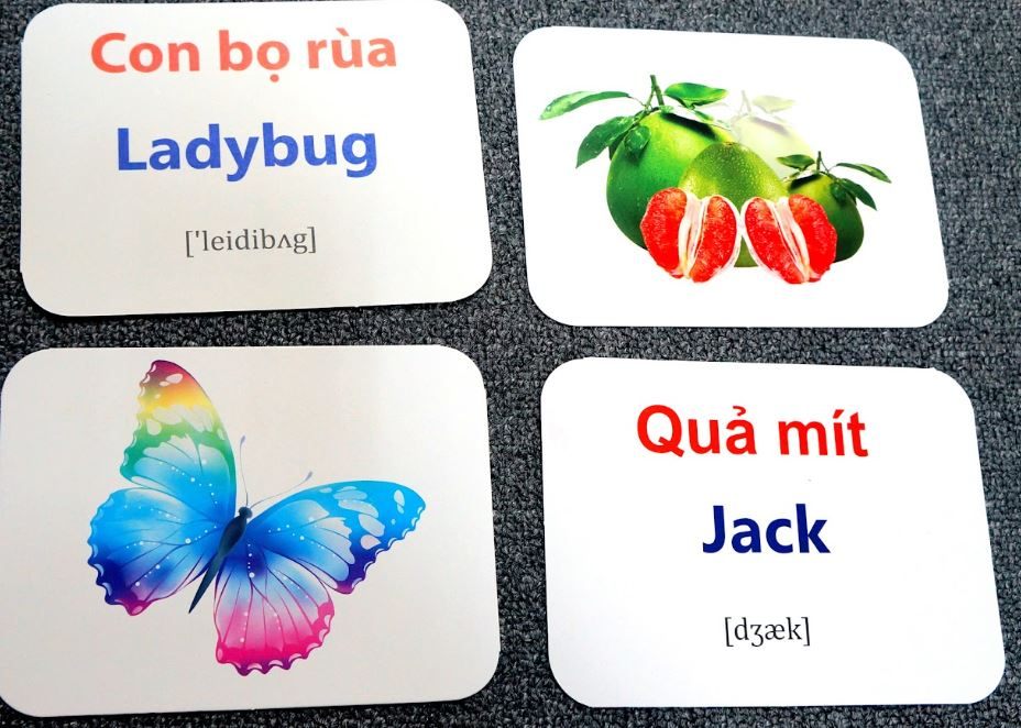 flashcard-hoc-tieng-anh-4