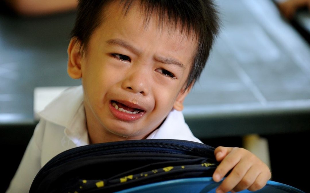 be-2-tuoi-di-hoc-mau-giao-3