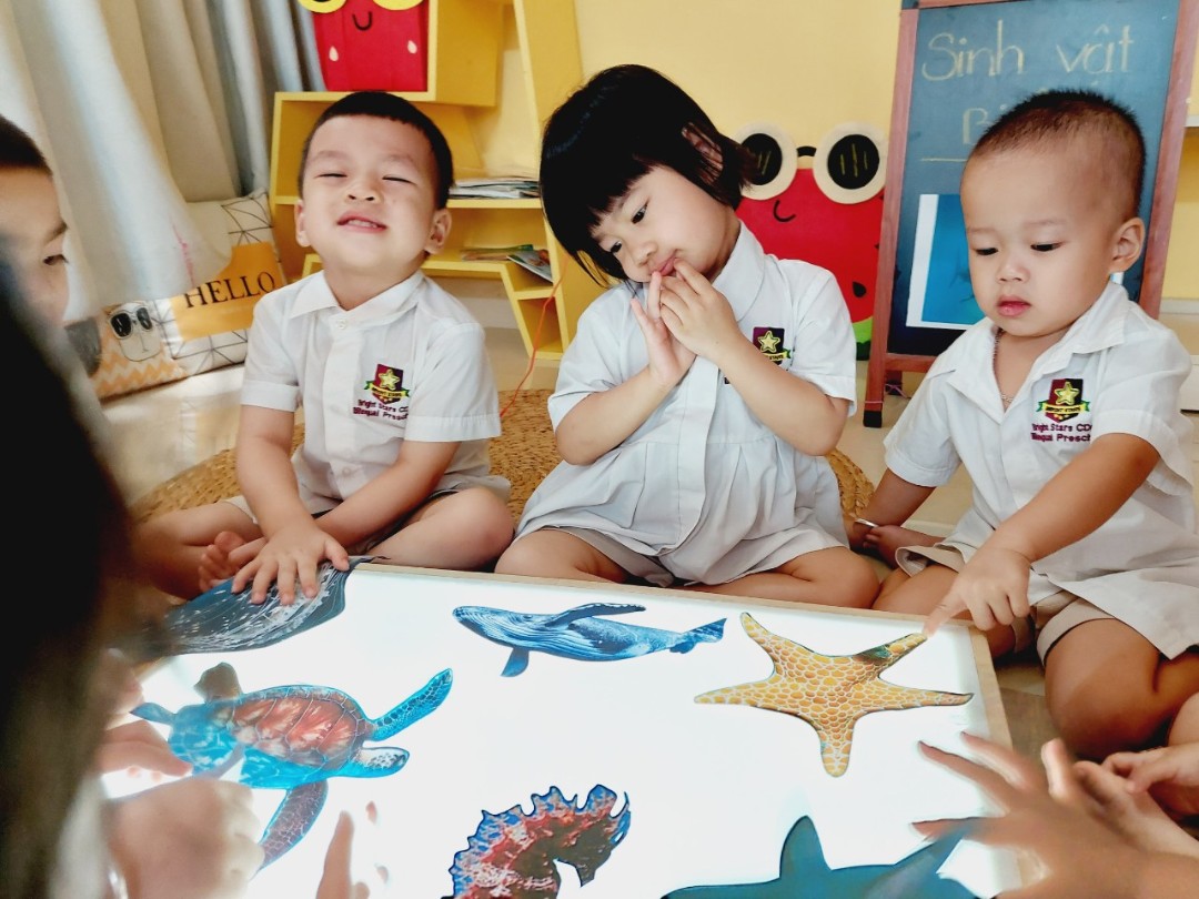 chuong-trinh-hoc