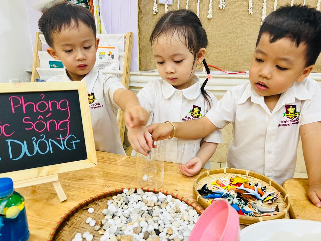 chuong-trinh-hoc