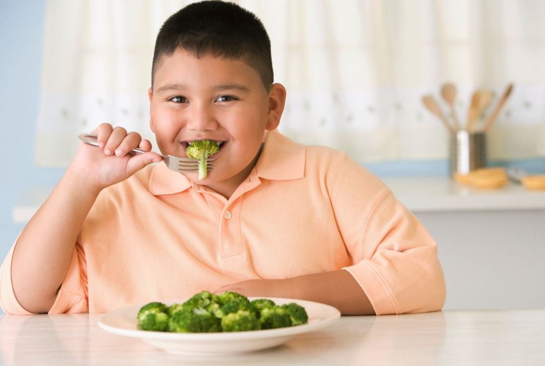 beo-phi-o-tre-mam-non-4