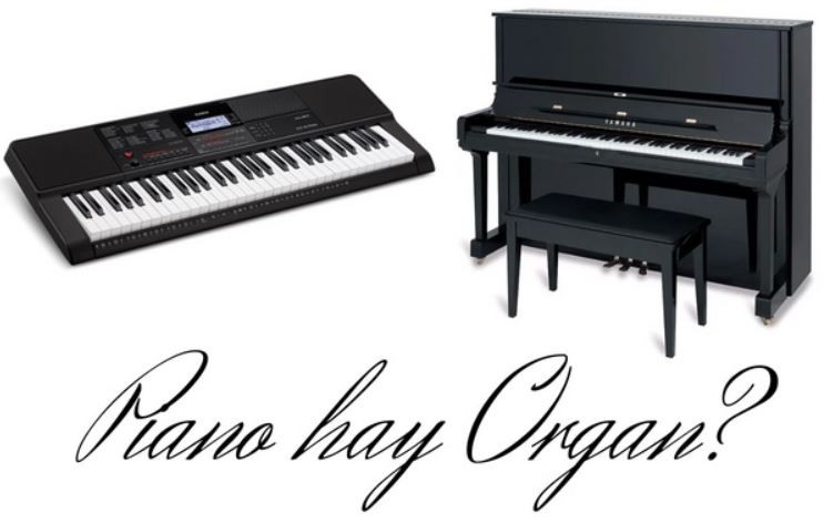 nen-cho-tre-hoc-piano-hay-organ-5