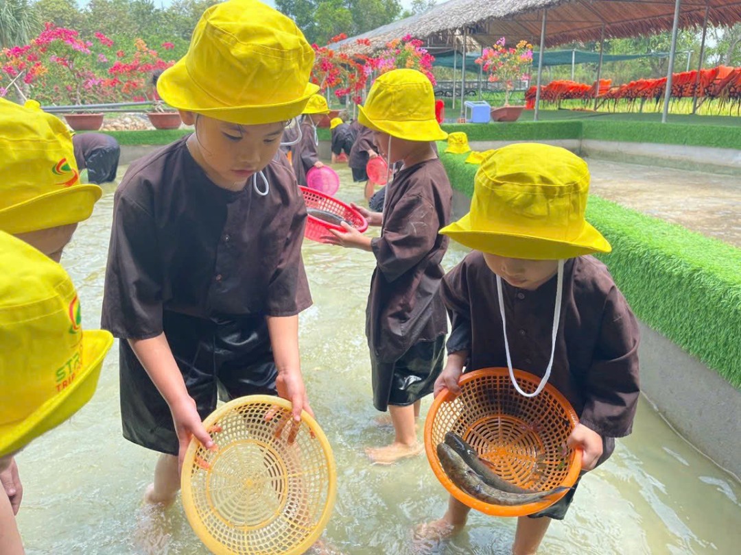 Mầm non Nụ Cười (Smiles) - Phường 8