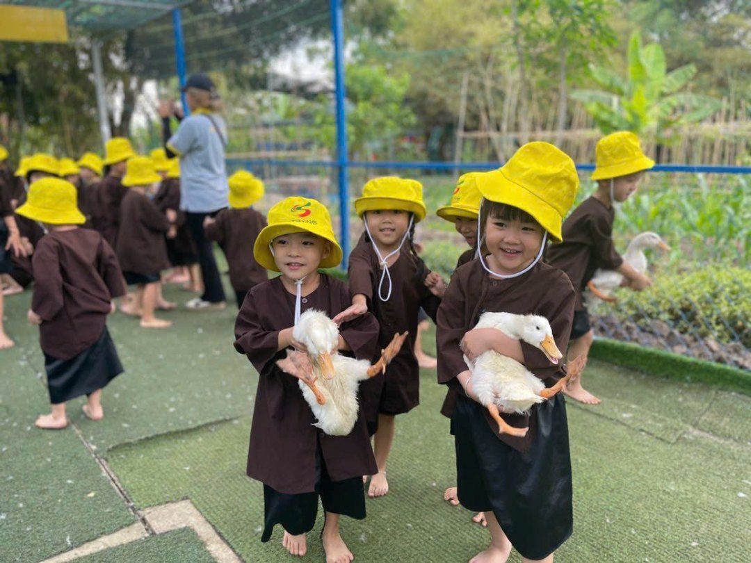 Mầm non Nụ Cười (Smiles) - Phường 8