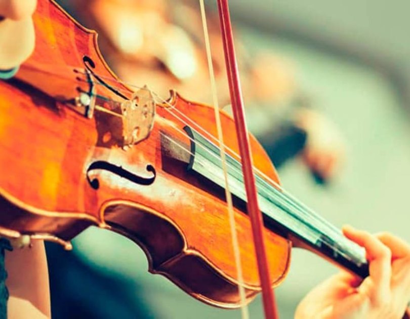 hoc-dan-violin-mat-bao-lau-6