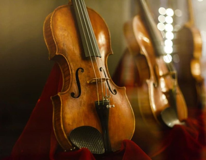 hoc-dan-violin-mat-bao-lau-8