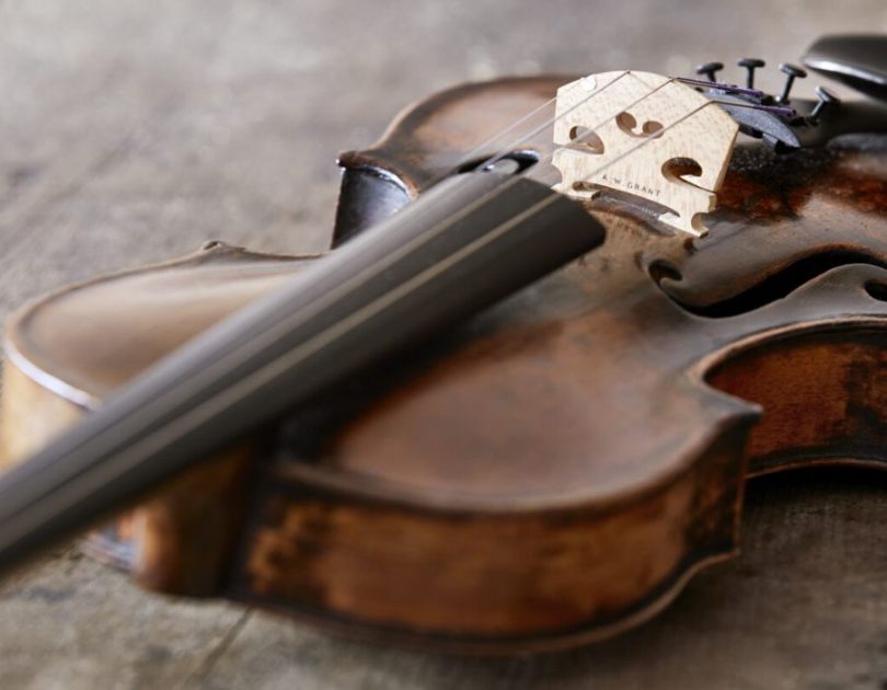 hoc-dan-violin-mat-bao-lau-9