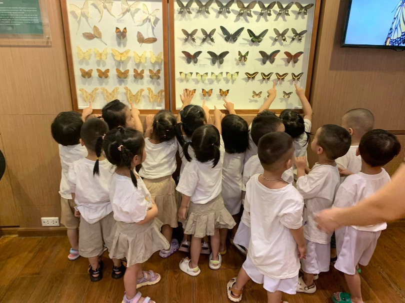 Trường Mầm Non Hoa Hướng Dương - Sunflower Kindergaten - Phùng Khoang