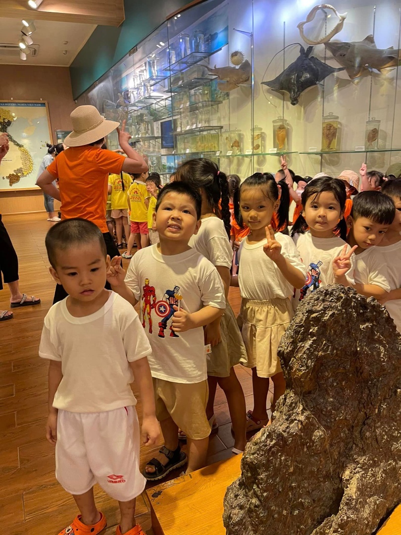 Trường Mầm Non Hoa Hướng Dương - Sunflower Kindergaten - Phùng Khoang