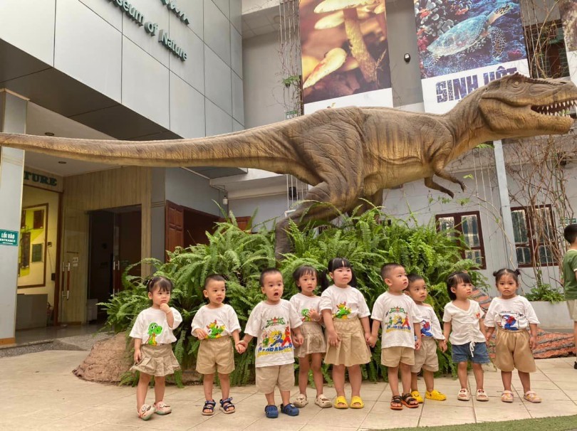 Trường Mầm Non Hoa Hướng Dương - Sunflower Kindergaten - Phùng Khoang