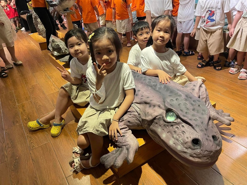 Trường Mầm Non Hoa Hướng Dương - Sunflower Kindergaten - Phùng Khoang