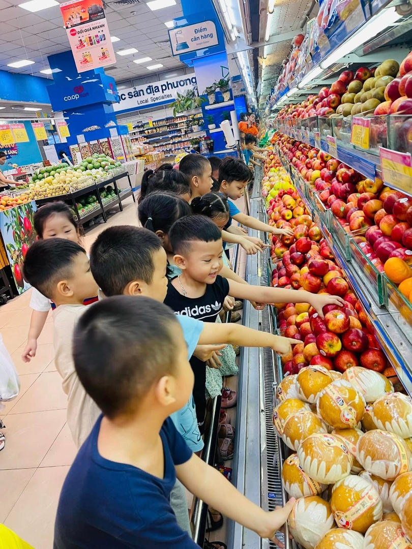 Trường Mầm Non Hoa Hướng Dương - Sunflower Kindergaten - Phùng Khoang