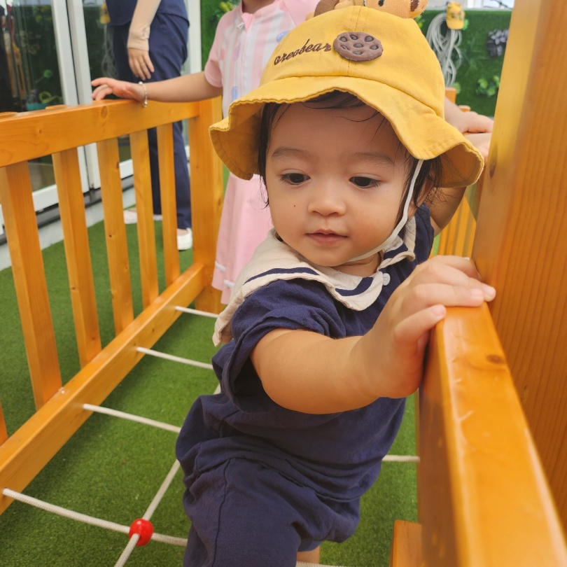 chuong-trinh-hoc