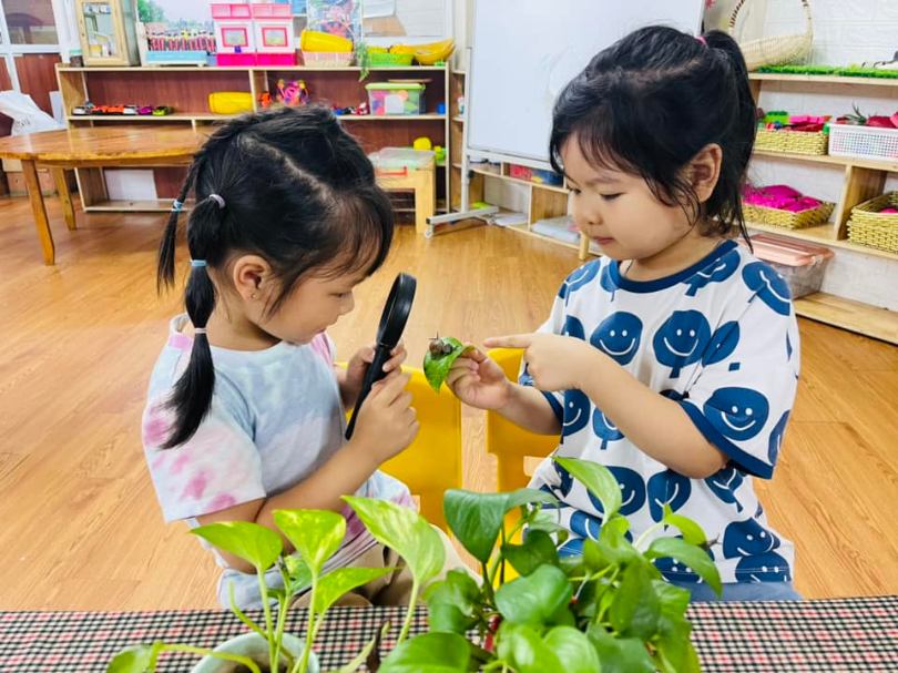 Trường Mầm Non Hoa Hướng Dương - Sunflower Kindergaten - Phùng Khoang