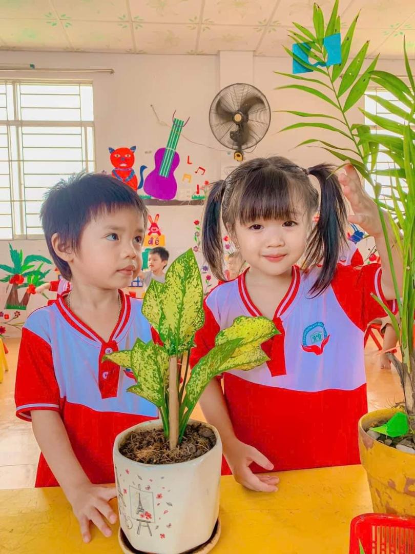 Trường Mầm Non Nắng Mai - Long Bình Tân