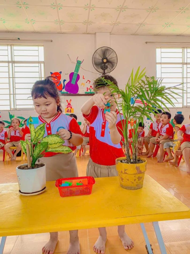 Trường Mầm Non Nắng Mai - Long Bình Tân