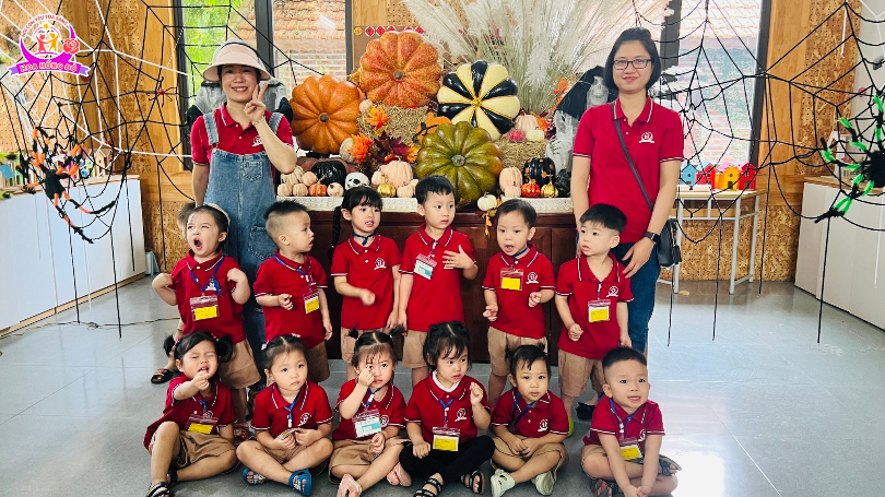 Trường Mầm Non Hoa Hồng Đỏ - Tây Mỗ