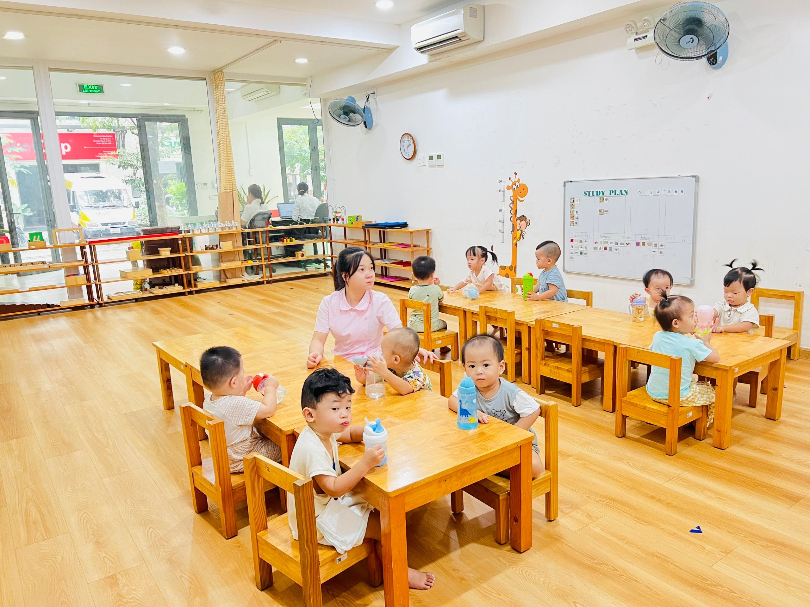 Dự án Steam mầm non là gì? Mục đích của phương pháp này là như thế nào?