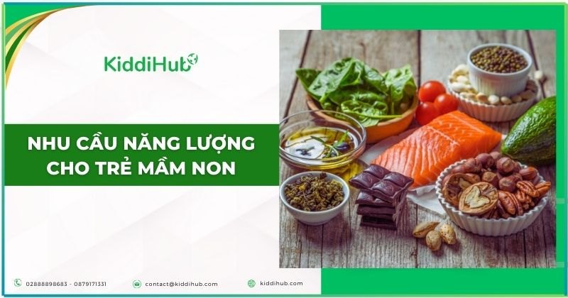 Nhu cầu năng lượng cho trẻ mầm non