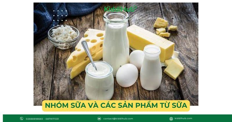 Nhóm sữa và các sản phẩm từ sữa