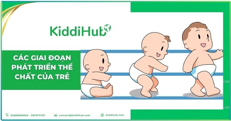 Các giai đoạn phát triển thể chất của trẻ
