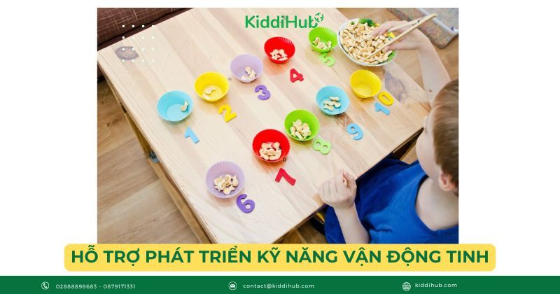 Hỗ trợ phát triển kỹ năng vận động tinh