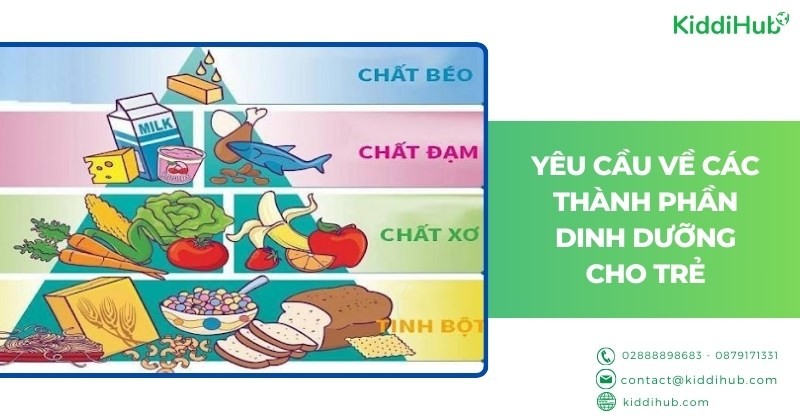 Yêu cầu về các thành phần dinh dưỡng cho trẻ
