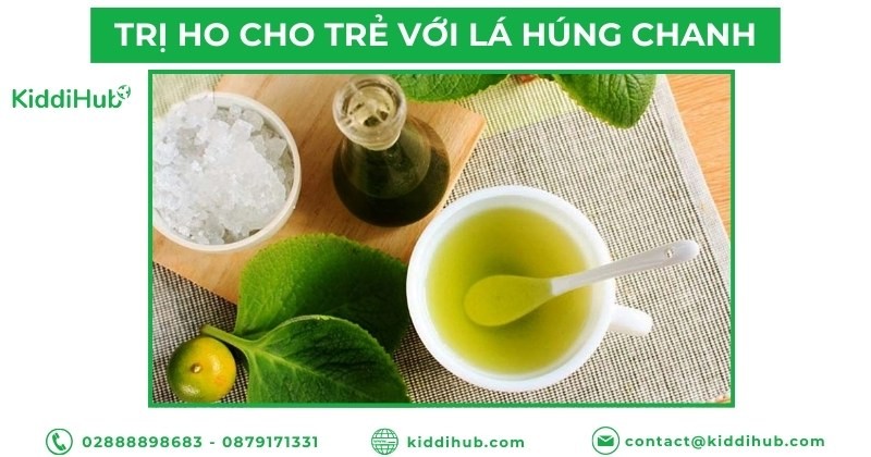 Trị ho cho trẻ bằng lá húng chanh