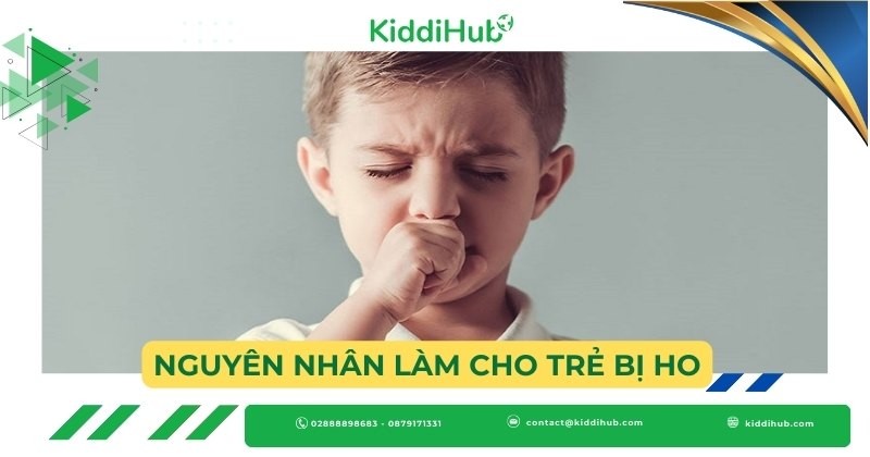 Nguyên nhân làm cho trẻ bị ho
