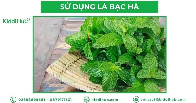 Sử dụng lá bạc hà giảm đau răng cho trẻ