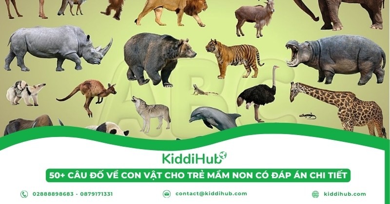 50+ câu đố về con vật cho trẻ mầm non có đáp án chi tiết