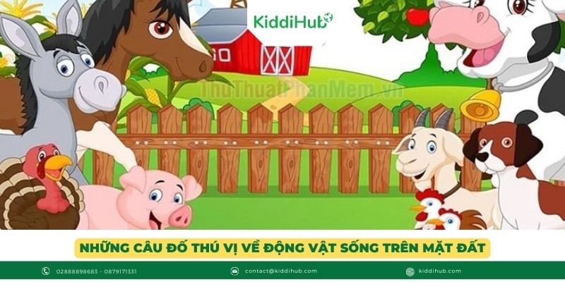 Những câu đố thú vị về động vật sống trên mặt đất