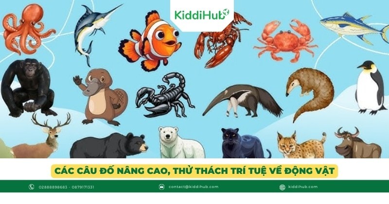 Các câu đố nâng cao, thử thách trí tuệ về động vật