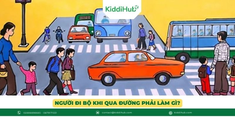 Người đi bộ khi qua đường phải làm gì?