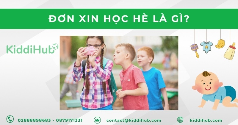 Đơn xin học hè là gì?