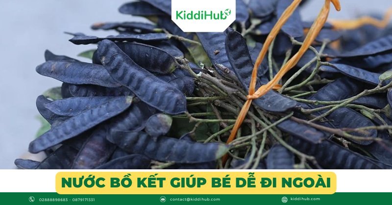 Nước bồ kết giúp bé dễ đi ngoài