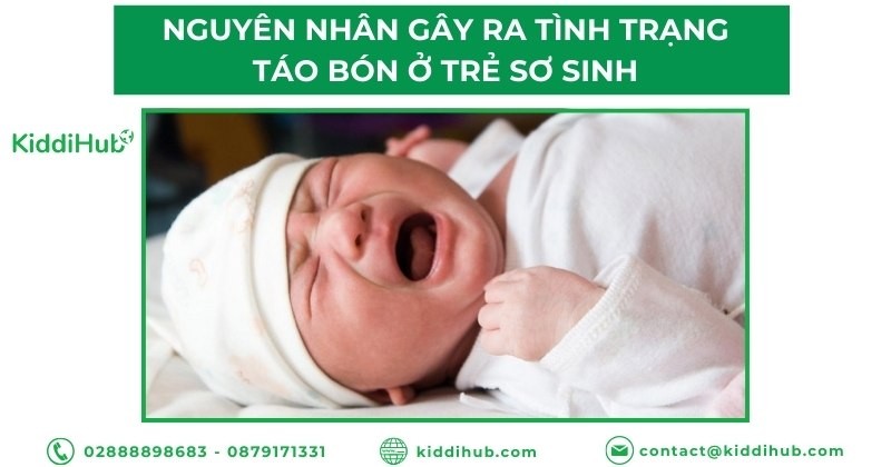 Nguyên nhân gây ra tình trạng táo bón ở trẻ sơ sinh