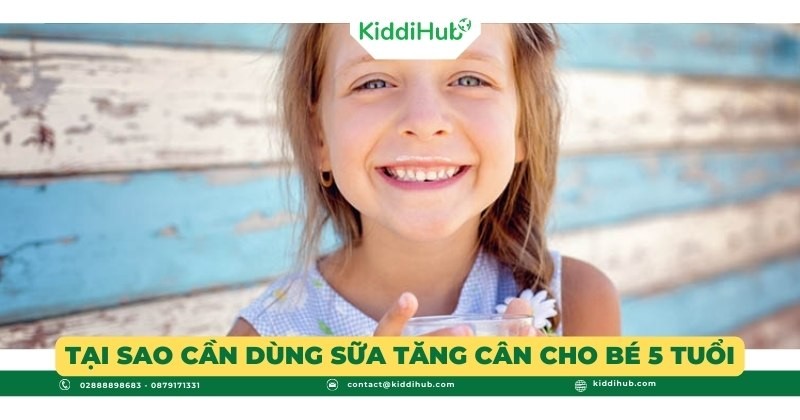 Tại sao cần dùng sữa tăng cân cho bé 5 tuổi?